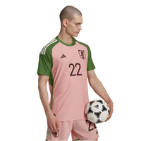 Japan x Nigo 2023 National Team Jersey
