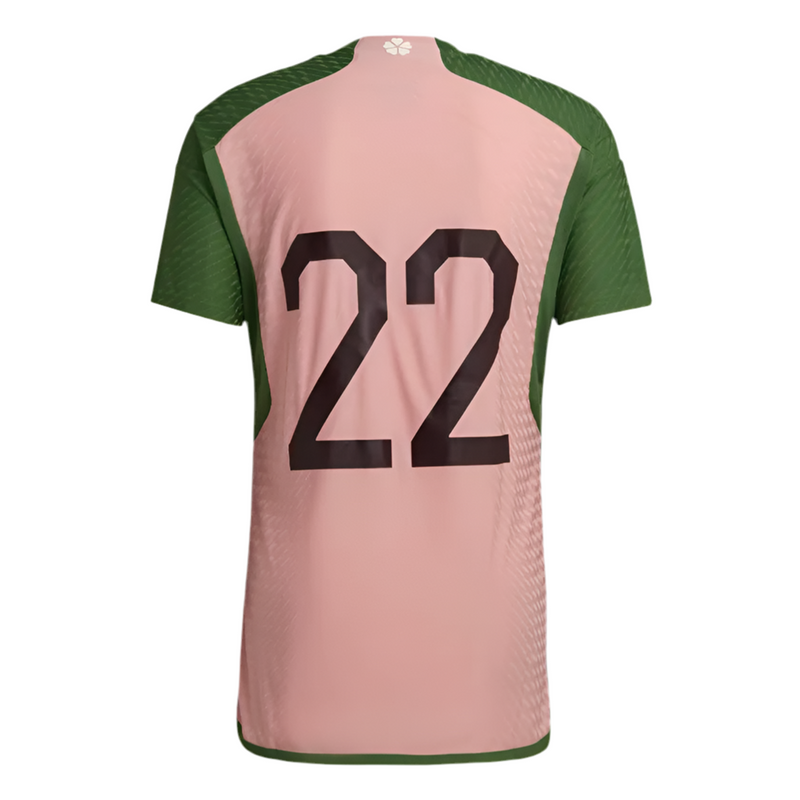 Japan x Nigo 2023 National Team Jersey
