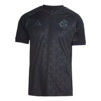 Camisola Internacional III 25/26