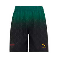 Short Ac Milan IIII NOIR 24/25