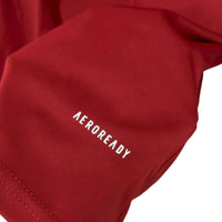 Ajax 25/26 Jersey - Special Edition