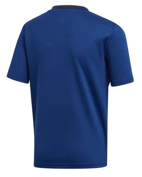 Japan 2019 National Team Jersey