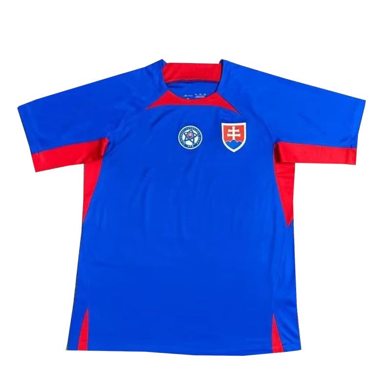 Slovakia National Team Home Shirt 24/25 - Blue