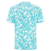 Camisola de Apresentação Ajax 23/24